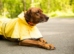 SPOT Rainy Days Slicker - Yellow Dog Rain Jacket With Hood, Reflective Strip for Safety, Leash Hole & Adjustable Velcro Belly Strap, 100% Polyester Water Resistant Pet Raincoat - XX-Large, 25in Long