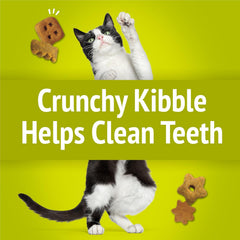Purina Friskies Natural Cat Treats, Party Mix Natural Yums With Real Chicken & Vitamins, Minerals & Nutrients - (Pack of 10) 2.1 oz. Pouches