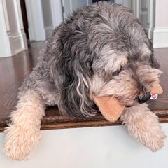 SPOT Dura-Fused Leather Bone - Dog Toy with Squeaker, Made With Real Leather and Jute Fabric, Interactive Toy for Aggressive Chewers, Durable Squeaky Toy for Dogs and Puppies, Small - 7in