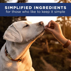 Natural Balance Limited Ingredient Adult Grain-Free Wet Canned Dog Food, Reserve Bison & Sweet Potato Recipe, 13 Ounce (Pack of 12)