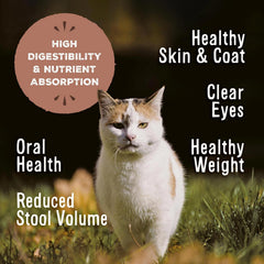 Primal Freeze Dried Raw Cat Food Nuggets Pork, Complete & Balanced Meal or Topper, Premium, Healthy, Grain Free, High Protein Raw Cat Food with Probiotics