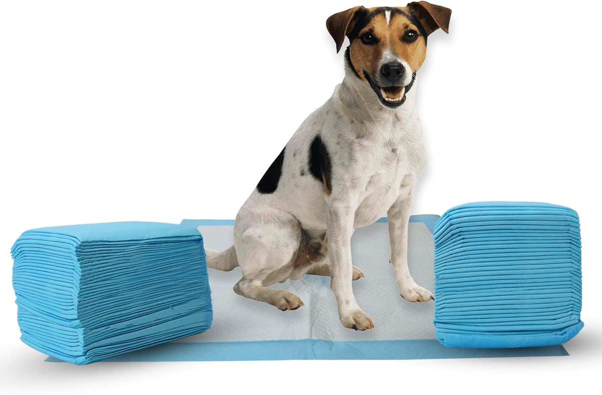 SPOT X Marks The Spot Extra Absorbent Pee Pads | Puppy Pads | Puppy Pads with Adhesive | Training Pads | Dog Pads | Dog Pee Pads | Dog Potty Pads | Adhesive Strips | 22"X22"