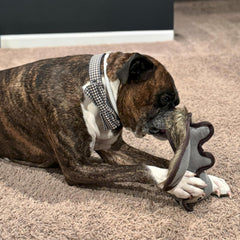 SPOT Dura-Fused Hemp Friends - Dog Toy Made with Hemp Material, Fused with Tricot for Durablity, with Furry Plush Tail and Squeaker, Great for Light to Moderate Chewers - 18" Assorted Styles