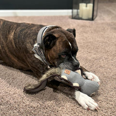 SPOT Dura-Fused Hemp Friends - Dog Toy Made with Hemp Material, Fused with Tricot for Durablity, with Furry Plush Tail and Squeaker, Great for Light to Moderate Chewers - 18" Assorted Styles
