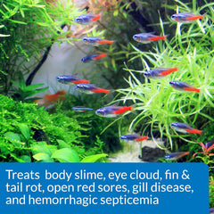API FIN & BODY CURE Freshwater Fish Powder Medication