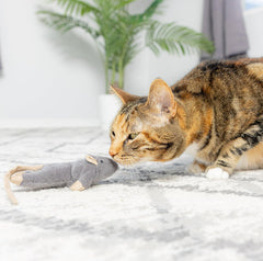 SPOT Flat Mouse Frankie with Catnip - Cat Toy, Fuzzy Mice with Catnip and Crinkle Sound, Perfect Size for Pouncing on, Chasing, Hunting - 5.5in Plush Toys, Assorted Colors