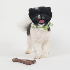 SPOT Bam-Bones Wishbone - Made with Strong Bamboo Fiber, Durable Long Lasting Dog Chew for Light to Moderate Chewers, Great Toy for Adult Dogs & Teething Puppies Under 30lbs