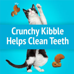Purina Friskies Cat Treats, Party Mix Lobster & Mac 'N' Cheese Flavors - (Pack of 10) 2.1 oz. Pouches