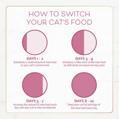 Purina Fancy Feast Dry Cat Food Filet Mignon Flavor with Seafood and Shrimp - (Pack of 4) 16 oz. Bags