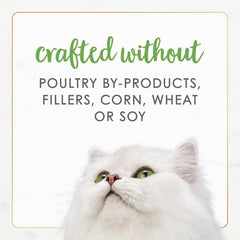Purina Fancy Feast Wet Cat Food Pate Gourmet Naturals White Meat Chicken Recipe - (Pack of 12) 3 oz. Cans