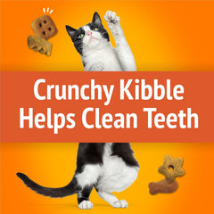 Purina Friskies Cat Treats, Party Mix Original Crunch - 30 Ounce (Pack of 1)