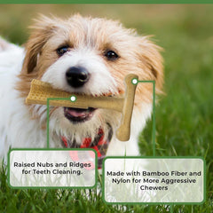 SPOT Bam-Bones Plus T Bone - Bamboo Fiber & Nylon, Durable Long Lasting Dog Chew for Aggressive Chewers – Great Toy forAdult Dogs & Teething Puppies Under 30lbs, Non-Splintering, Chicken Flavor
