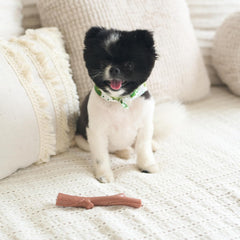 SPOT Bam-bones PLUS Branch -Bamboo Fiber & Nylon, Durable Long Lasting Dog Chew for Aggressive Chewers – Great Toy for Adult Dogs & Teething Puppies under 60lbs, Non-Splintering, Beef Flavor