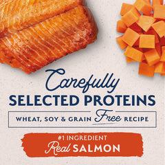 Natural Balance Limited Ingredient Adult Grain-Free Dry Dog Food, Salmon & Sweet Potato Recipe