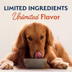 Natural Balance Limited Ingredient Adult Grain-Free Dry Dog Food, Salmon & Sweet Potato Recipe
