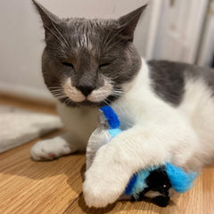 SPOT Song Birds Cat Toys - Touch Activated Singing Catnip Toy Mimics Real Bird Songs, Battery Operated Toy Satisfies Cat's Natural Urge to Hunt - One 5" Song Bird, Assorted Colors