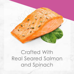 Purina Fancy Feast Gourmet Gravy Wet Cat Food, Petites Seared Salmon With Spinach Entree - (Pack of 12) 2.8 oz. Tubs