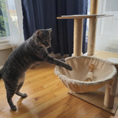 SPOT Naturals Silver Vine Cat Toy – Natural Interactive Enrichment for Cats, Stimulates Play and Reduces Stress, Durable and Safe, Perfect for Indoor Cats and Kittens, Assorted Styles, 1 Piece