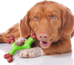 SPOT Bam-Bones Dental X-Bone - Made with Bamboo Fiber and a Massaging Rubber Center to Keep Teeth Clean, Durable Oral Care Dog Chew for Light Chewers & Teething Puppies Under 25lbs, 6in, Apple Flavor
