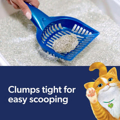 Fresh Step Clean Paws Cat Litter With Febreze Freshness With Febreze Gain Scent, Low-Tracking Clumping Litter With Guaranteed Odor Control, 22.5 lb. Box