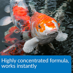API Aqua Essential Water Conditioner