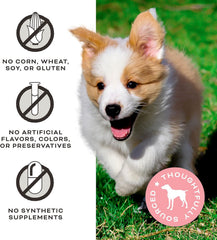 Primal Chicken Jerky Dog Treats Made with Chicken Bone Broth, FriendChips Matter Chewy Dog Treat