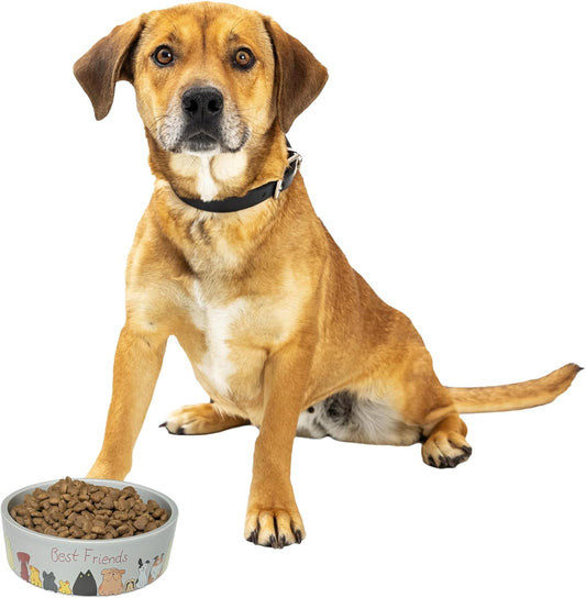 SPOT Best Friends Pet Food Dish - Food or Water Ceramic Bowl for Pets, Ideal for Medium & Large Dogs, Dishwasher Safe, 5 Cups (40oz) Capacity - 7in, Light Grey