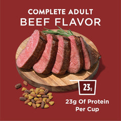 Purina Dog Chow Complete Adult Dry Dog Food Kibble Beef Flavor - 18.5 lb. Bag
