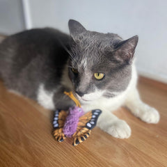 SPOT Love The Earth Butterfly Cat Toy - Eco Friendly Catnip Toy Made with Recycled Plastic Bottles, Soft, Plush, Bright Colored Classic Toy for Indoor Cats and Kittens - 4 inch, Assorted Colors