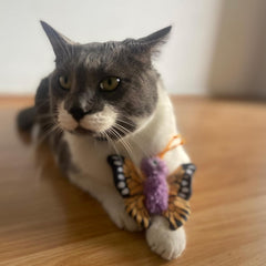 SPOT Love The Earth Butterfly Cat Toy - Eco Friendly Catnip Toy Made with Recycled Plastic Bottles, Soft, Plush, Bright Colored Classic Toy for Indoor Cats and Kittens - 4 inch, Assorted Colors