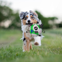 SPOT Dog Soccer Ball with E-Z Tabs - Interactive Fetch and Tug Dog Toy with Heavy Duty Nylon Straps for Carrying, Tossing, and Tugging, Floats in Water, 9in Sports Ball with Air Pump Included