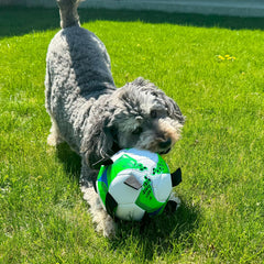 SPOT Dog Soccer Ball with E-Z Tabs - Interactive Fetch and Tug Dog Toy with Heavy Duty Nylon Straps for Carrying, Tossing, and Tugging, Floats in Water, 9in Sports Ball with Air Pump Included