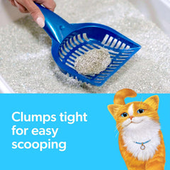 Fresh Step Simply Unscented Clumping Litter, Fresh Step Unscented Cat Litter With Activated Charcoal Technology, 14 lb. Box