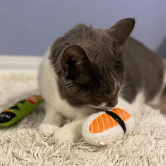 SPOT Sushi Take-out- Cat Plush Toys with Catnip & Silverine Blend, Cute and Funny Toys For Indoor Cats & Kittens, Perfect for Batting and Chasing - 4 inch, Assorted 2-Pack, Styles May Vary