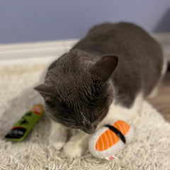 SPOT Sushi Take-out- Cat Plush Toys with Catnip & Silverine Blend, Cute and Funny Toys For Indoor Cats & Kittens, Perfect for Batting and Chasing - 4 inch, Assorted 2-Pack, Styles May Vary
