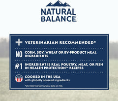 Natural Balance Health Protection Dry Dog Food – Whole Body Health, Easy on Digestion Dog Food Made with Lamb, Brown Rice & Pumpkin for Dogs - 24lbs.