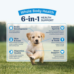 Natural Balance Health Protection Puppy Dry Dog Food – Whole Body Health, Easy on Digestion Dog Food Made with Chicken, Brown Rice & Pumpkin for Puppies - 12lbs.