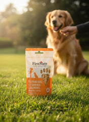 FirstMate Grain-Free Lamb & Blueberry Dog Treats – Biscuit Style