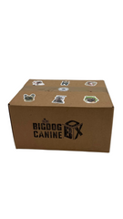 Big Dog Canine Box for Medium Dogs – New Surprise of Premium Treats & Toys Every Time You Order