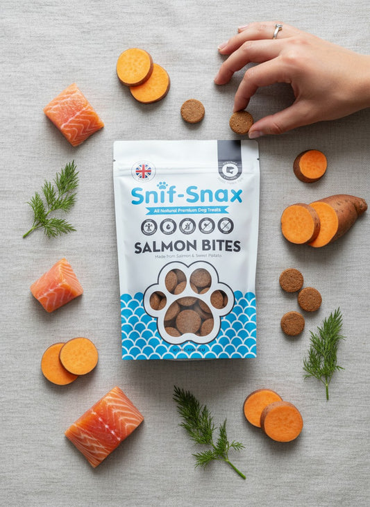 Snif Snax Salmon Bites Dog Treats 3 oz