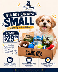 Big Dog Canine Box for Small Dogs