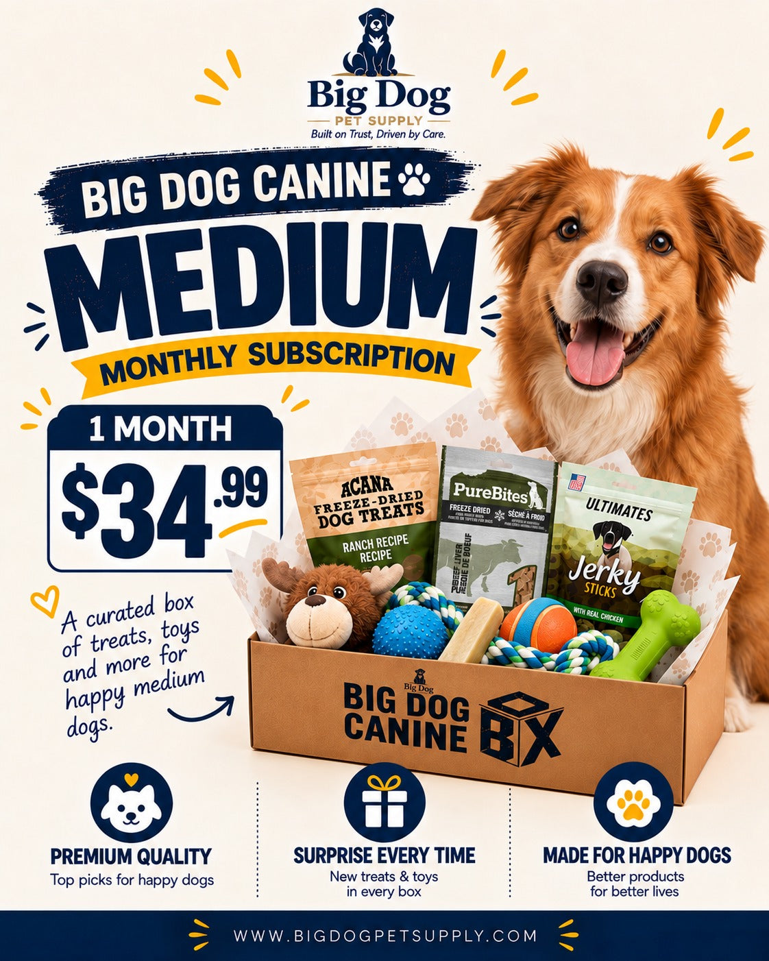 Big Dog Canine Box for Medium Dogs