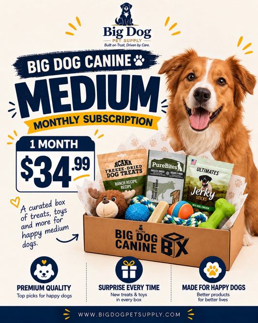 Big Dog Canine Box for Medium Dogs
