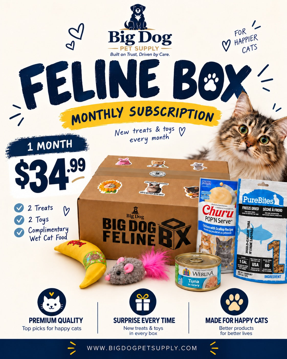 Big Dog Feline Cat Box