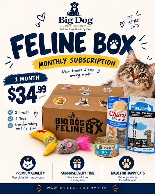 Big Dog Feline Cat Box