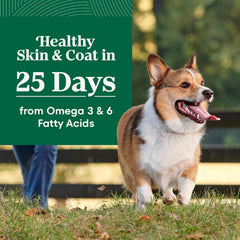 Nutro Natural Choice Small Bites Dry Dog Food, Adult Dog Food Dry Lamb and Brown Rice Recipe, 12 lbs