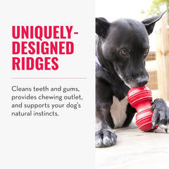KONG Dental Dog Toy - for Dog Dental Care - Stuffable Chew Toy - Provides Chewing Outlet & Satisfies Instinctual Needs - Cleans Teeth & Gums - Made with Durable Natural Rubber - for X-Large Dogs