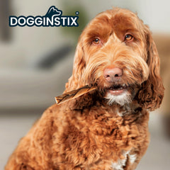 Natural Dog Chew Lamb Collagen Stick Braided12inch Free Range-Grass Fed Lamb-All Natural