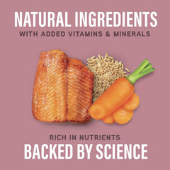 Natural Balance Specialized Nutrition Wet Dog Food, Sensitive Skin & Stomach Formula with Salmon and Brown Rice for Dogs, Natural Ingredients with Added Vitamins & Minerals - 12.7 oz. (Case of 12)