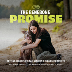 BENEBONE DOG BOUNCE RUBBER PAWBLER